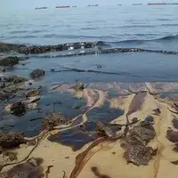 حمأة نفطية/ حمأة زيتية